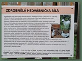 Arboretum Žampach 2023